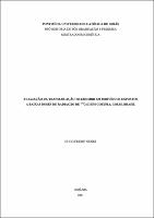 Hugo Freire Nunes.pdf.jpg