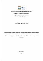 Leonardo Mariano Reis.pdf.jpg