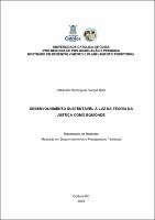 Sebastiao Domingues Vargas Neto.pdf.jpg