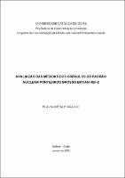 Flavia IKeda e Araujo.pdf.jpg