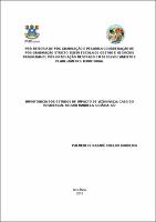 PALMERI DE NAZARÉ COELHO BANDEIRA.pdf.jpg