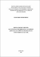 Rosana Maria Ferreira Borges.pdf.jpg