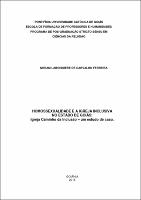 MIRIAM LABOISSIERE DE CARVALHO FERREIRA.pdf.jpg