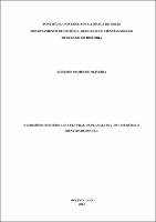 EDERSON GOMES DE OLIVEIRA.pdf.jpg